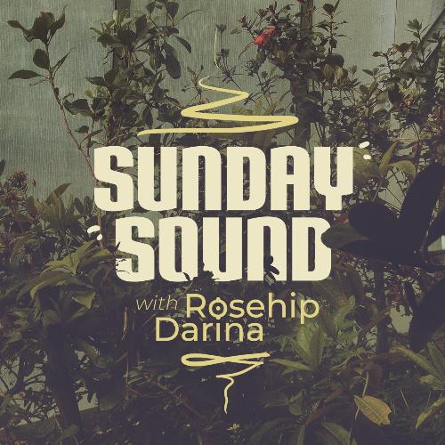 VA - Darina Rosehip - Sunday Sound 002 (2022-07-17) (MP3)