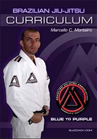 Brazilian Jiu-Jitsu Blue to Purple Curriculum