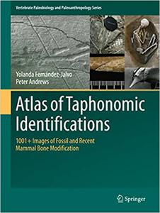 Atlas of Taphonomic Identifications 1001+ Images of Fossil and Recent Mammal Bone Modification 