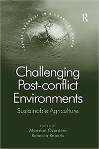 Challenging Post-conflict Environments