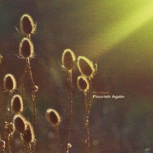 VA - PH-Wert - Flourish Again (2022) (MP3)
