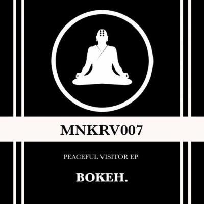 VA - Bokeh. - Peaceful Visitor EP (2022) (MP3)