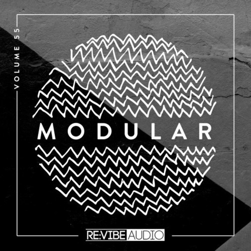 VA - Modular, Vol. 55 (2022) (MP3)