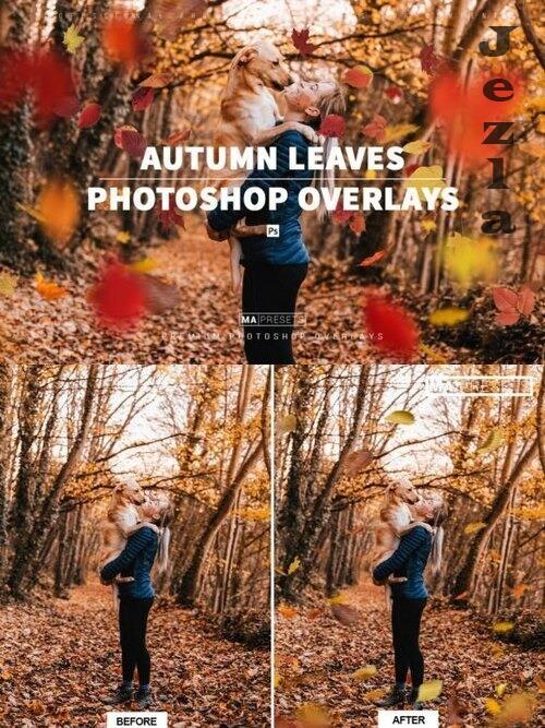 70 Autumn Leaves Overlays 