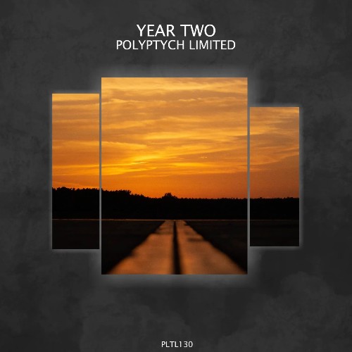 VA - Polyptych Limited: Year Two (2022) (MP3)
