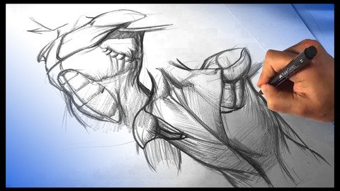 How To Draw A Torso – Figure Drawing Anatomy Course