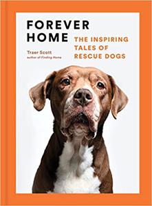 Forever Home The Inspiring Tales of Rescue Dogs