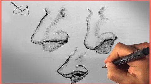 Learn How To Draw The Nose - Figure Drawing Anatomy Course