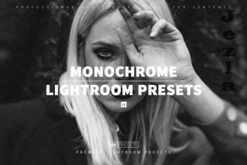 10 MONOCHROME Lightroom Presets