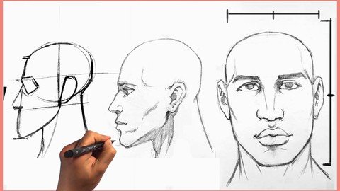 How To Draw The Head I Face Figure Drawing Anatomy Course