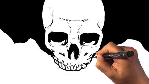 How To Draw The Skull – Figure Drawing Anatomy Course