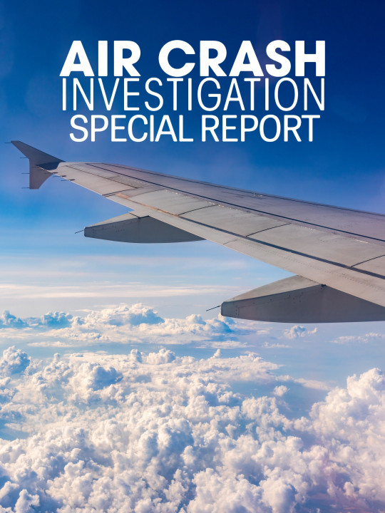 Katastrofa w przestworzach: Raport specjalny / Air Crash Investigation Special Report (2021) [SEZON 5] PL.1080i.HDTV.H264-B89 | POLSKI LEKTOR