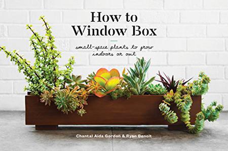 How to Window Box Small-Space Plants to Grow Indoors or Out 