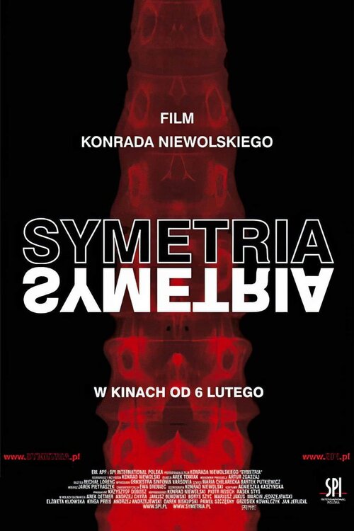 Symetria (2003) PL.720p.WEB-DL.x264.AC3-NoGrp ~ film polski