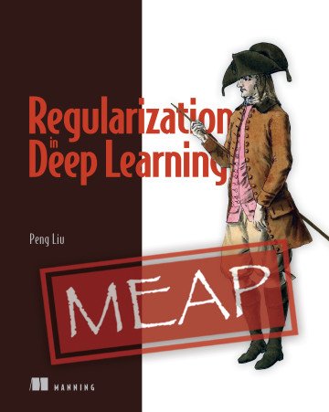 Regularization in Deep Learning (MEAP)