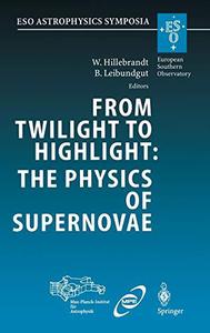 From Twilight to Highlight The Physics of Supernovae Proceedings of the ESOMPAMPE Workshop Held at Garching, Germany, 29-31
