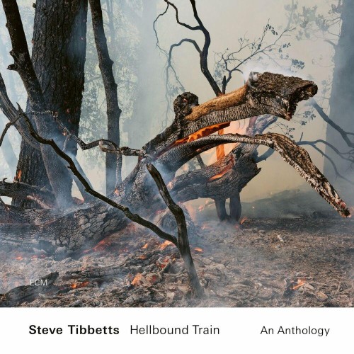 VA - Steve Tibbetts - Hellbound Train: An Anthology (2022) (MP3)