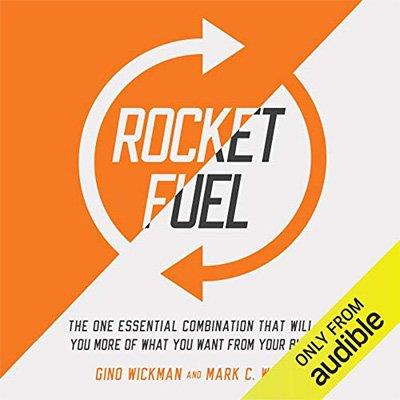 Rocket Fuel The One Essential Combination That Will Get You More of What You Want from Your Business (Audiobook)