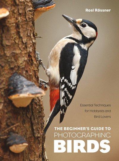 The Beginner's Guide to Photographing Birds