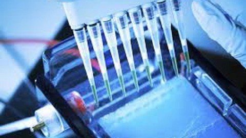 Electrophoresis Complete Concepts