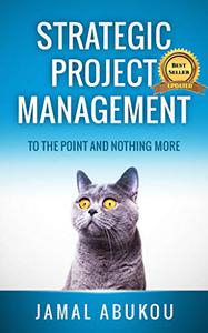 Strategic Project Management To The Point And Nothing More