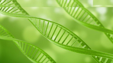 Udemy - Isolation Of DNA And RNA Concepts