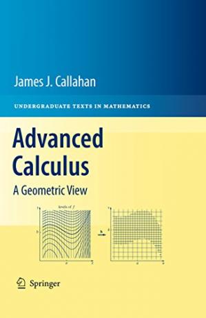 Advanced Calculus: A Geometric View (Solution Manual)