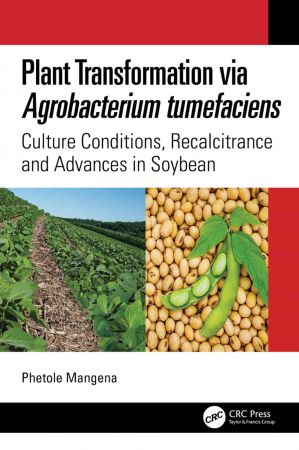 Plant Transformation via Agrobacterium tumefaciens Culture Conditions, Recalcitrance and Advances in Soybean