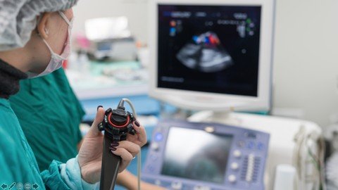 Certificate In Echocardiography Part 1