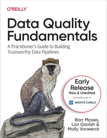 Data Quality Fundamentals (Fifth Early Release)