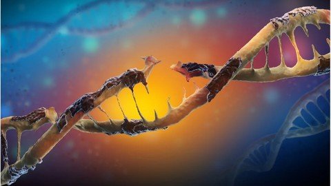 Udemy – DNA Damage Concepts