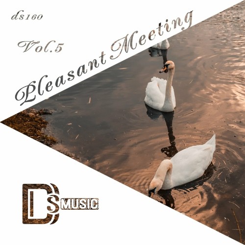 VA | Pleasant Meeting, Vol. 5 (2022) MP3