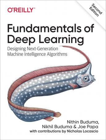 Fundamentals of Deep Learning: Designing Next Generation Machine Intelligence Algorithms, 2nd Edition (True PDF)