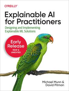 Explainable AI for Practitioners
