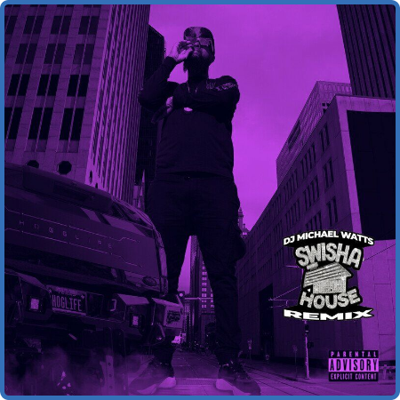 Slim Thug - BIGslim (Swisha House Remix) (2022)