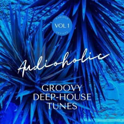 VA - Audioholic (Groovy Deep-House Tunes), Vol. 1 (2022) (MP3)