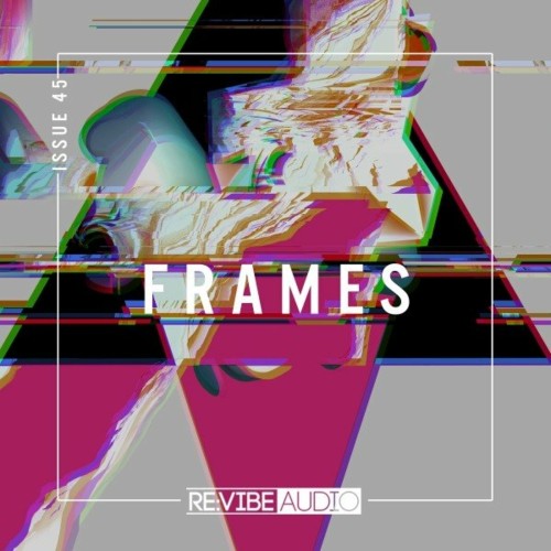 VA - Frames, Issue 45 (2022) (MP3)