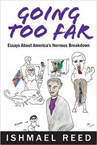 Going Too Far Essays About America’s Nervous Breakdown