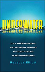 Underwater Loss, Flood Insurance, and the Moral Economy of Climate Change in the United States