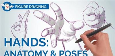 How to Draw Realistic 3D HANDS – Anatomy, Proportions & Dynamic Poses