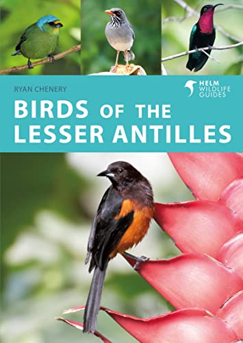 Birds of the Lesser Antilles (Helm Wildlife Guides)