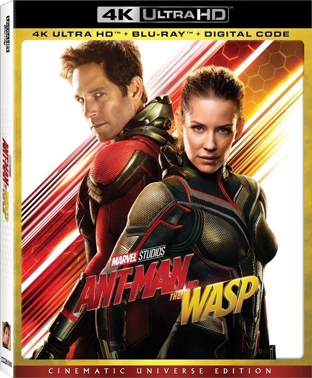 Ant-Man i Osa / Ant-Man and the Wasp (2018) MULTi.2160p.UHD.BluRay.x265-LTS ~ Lektor i Napisy PL