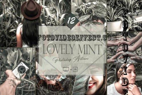 12 Lovely Mint Photoshop Actions, Spring