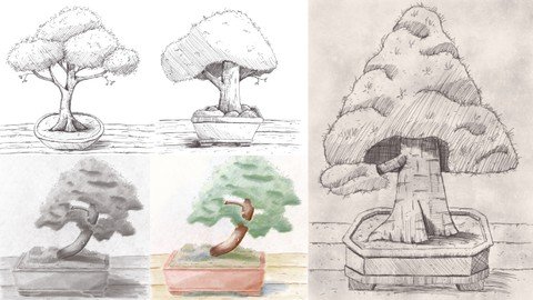 Drawing, Shading And Coloring Bonsai Trees In Procreate