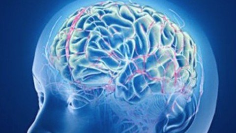 Udemy - Adult Psychopharmacology Course