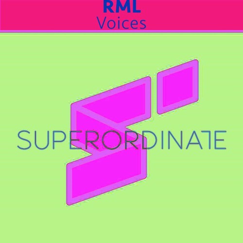 VA - Rml - Voices (2022) (MP3)