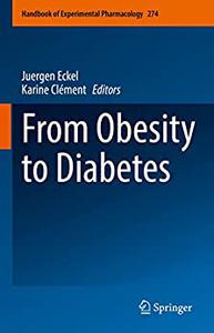 From Obesity to Diabetes