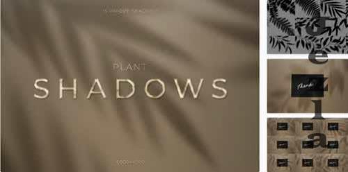 Plant Shadows Pack - G6N48WV