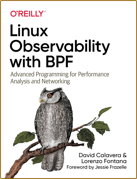 Linux Observability with BPF - Advanced Programming for Performance Analysis and N... 91fa0f8654c701c76028edfb3049fc48