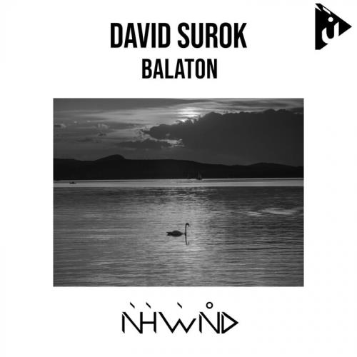 VA - David Surok - Balaton (2022) (MP3)